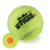 Balle De Tennis Universal Sport Stage 2 (Lot De 12) 1 Balle De Tennis Universal Sport Stage 2 (Lot De 12) -Tennis Soldes Boutique 4251265127704