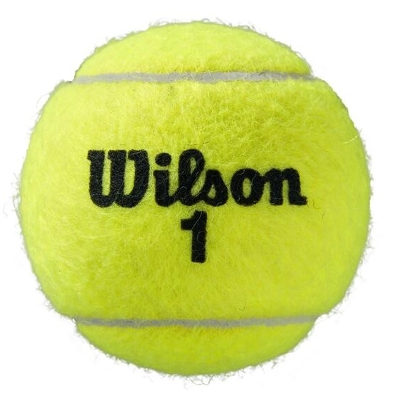 Balle De Tennis Wilson Roland Garros Clay (4 Unités) 4 Balle De Tennis Wilson Roland Garros Clay (4 Unités) – Image 2
