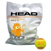 Balles De Tennis HEAD TIP Orange (72 Pièces) -Tennis Soldes Boutique head tip orange 1